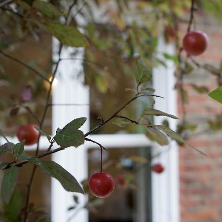 Luxury London Garden Home Sleep 7, 2 Mins To Metro Экстерьер фото